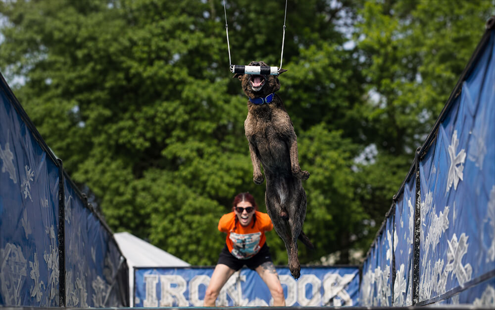 Free Dog Diving Event at Benson’s This Weekend