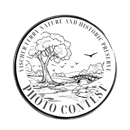 Vischer Ferry Nature and Historic Preserve Photo Contest
