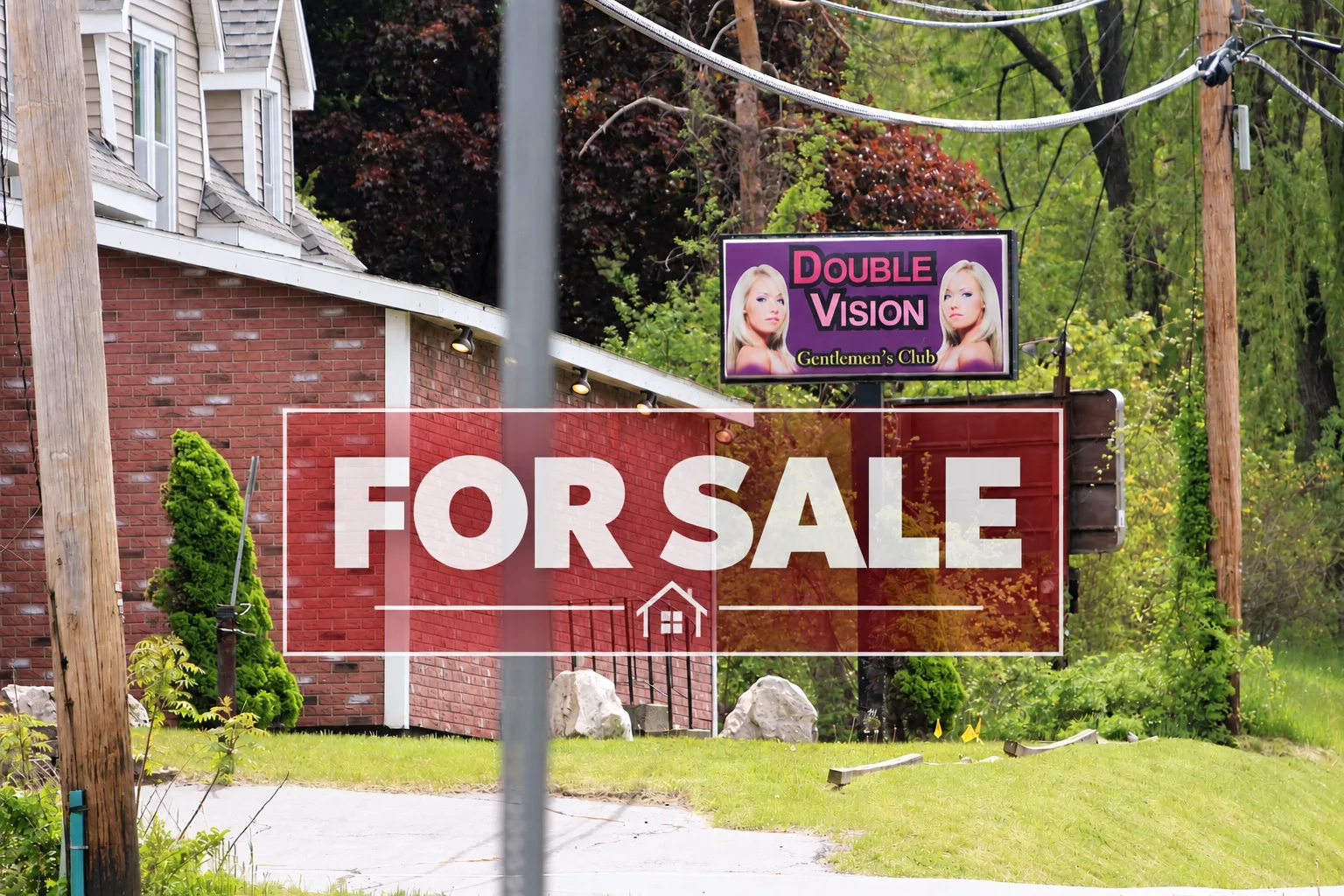 Double Vision Is for Sale